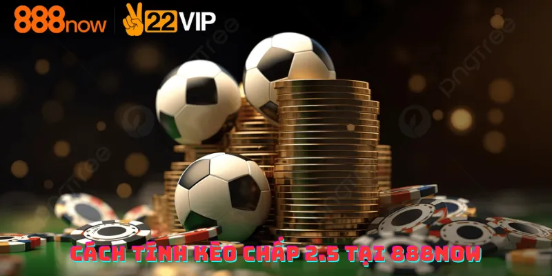 Cách tính kèo chấp 2.5 tại 888now