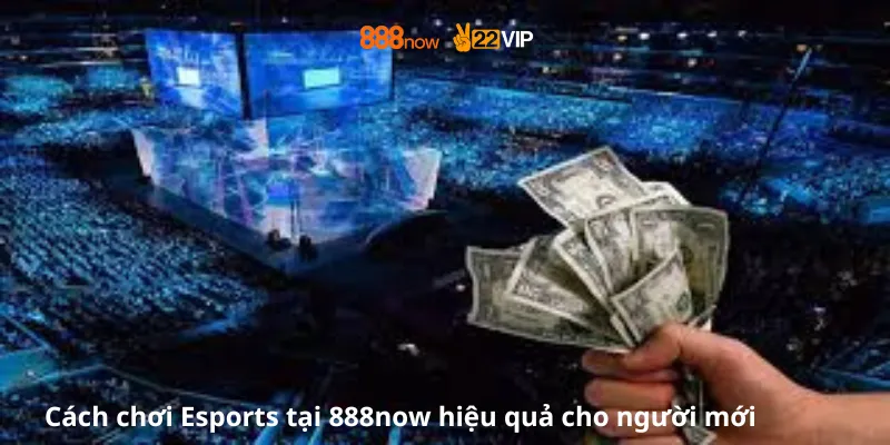 Cách chơi Esports tại 888now cho người mới